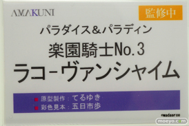 ホビージャパン パラダイス＆パラディン 楽園騎士No.3 ラコーヴァンシャイム てるゆき 五日市歩 11