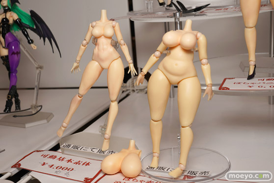 画像　フィギュア　サンプル　レビュー　ワンダーフェスティバル 2020［冬］ ideal dystopia キンキョーギンキョー 風雲再起 17