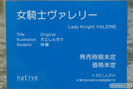 ネイティブ 女騎士ヴァレリー 犬江しんすけ 榊馨 フィギュア エロ ワンダーフェスティバル 2020［冬］　13