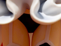 2020年7月発売予定！コトブキヤ新作美少女フィギュア「インフィニット・デンドログラム ネメシス」彩色サンプルがアキバで展示！