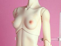 Type-Hボディ(ヘッド無し)：SoftSkin リアルアートプロジェクト 