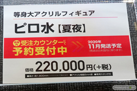 HOT LIMIT 2020 GOT とらのあな 等身大アクリルフィギュア F.W.A.T フィギュア エロ キャストオフ 秋葉原 06