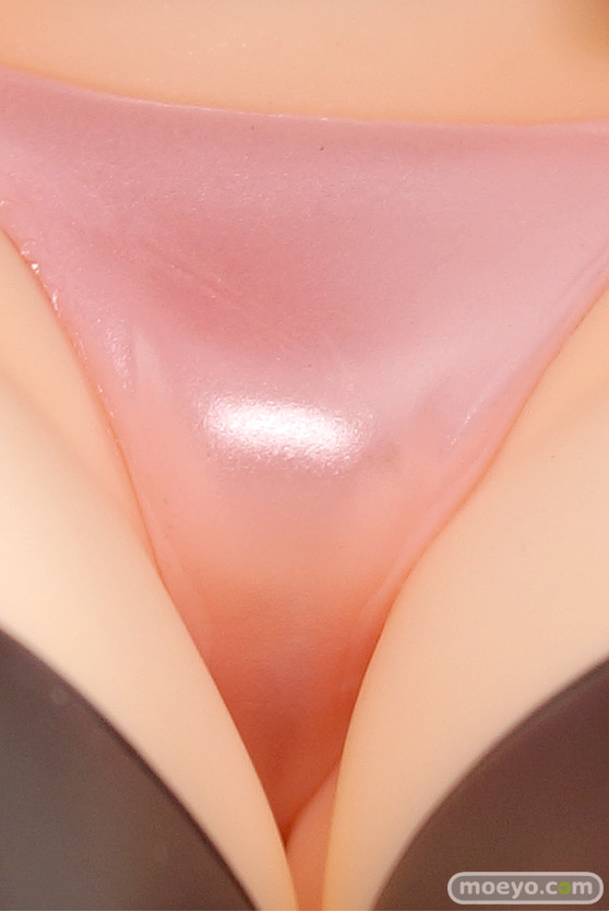 ダイキ工業 私立ダイキ学園シリーズ 冬乃日和 乙山法純 イイコッテ 佐野一馬 エロ キャストオフ フィギュア 製品版 24