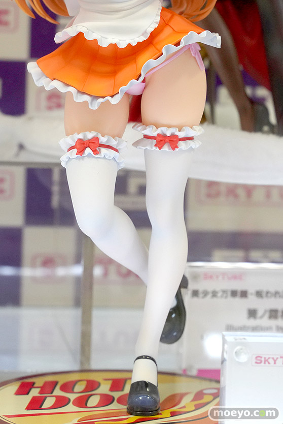 スカイチューブ 花野井杏奈 illustration by 智弘カイ TOMO フィギュア あみあみ ボークス  キャストオフ11