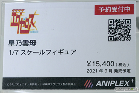 秋葉原の新作フィギュア展示の様子 2021年1月5日 06