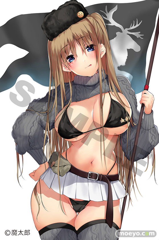 スカイチューブ シベリア寒気団長 illustration by 魔太郎 2% フィギュア エロ キャストオフ 13