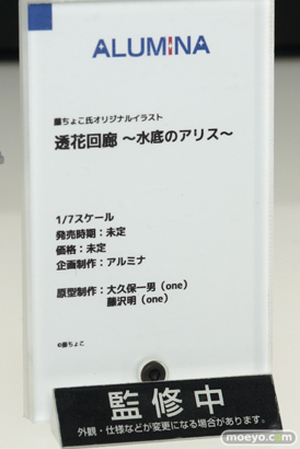 ワンホビ32 ALMINA INTELLIGENTSYSTEMS ウイング フリーイング フィギュア 04