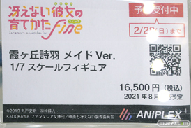 秋葉原の新作フィギュア展示の様子 2021年2月27日 13