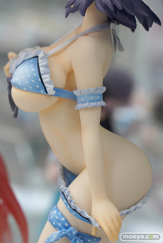 ウェーブ ドリームテック 閃乱カグラ SHINOVI MASTER -東京妖魔篇- 雪泉[ビキニstyle] Salle cato エムアイシー フィギュア 11