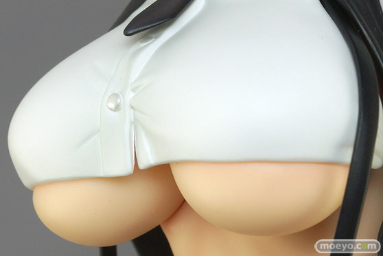 スカイチューブ 小悪魔 illustration by 魔太郎 2％ エロ キャストオフ フィギュア 19