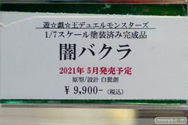 秋葉原の新作フィギュア展示の様子 あみあみ コトブキヤ　ボークス ソフマップ  06