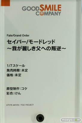 ワンホビ33 FGO 源頼光 メカエリチャン フィギュア 19