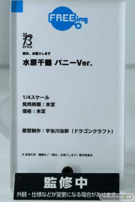 ワンホビ33 フィギュア フリーイング インテリジェントシステム NEKOYOME 23