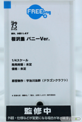 ワンホビ33 フィギュア フリーイング インテリジェントシステム NEKOYOME 26