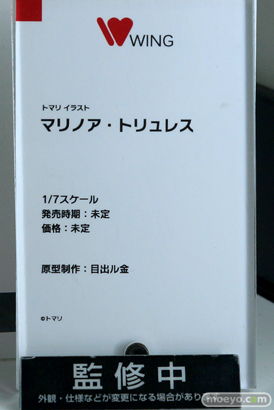 ワンホビ33 フィギュア ウイング ファット・カンパニー 08