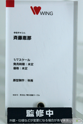 ワンホビ33 フィギュア ウイング ファット・カンパニー 17