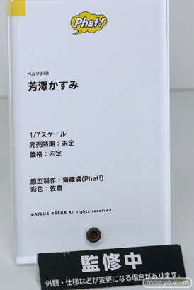 ワンホビ33 フィギュア ウイング ファット・カンパニー 29