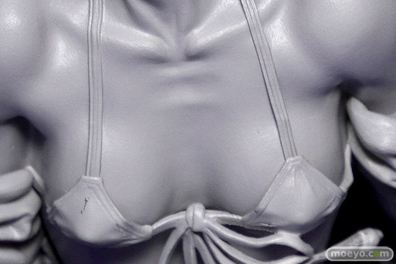 マックスファクトリー ブラック★ロックシューター HxxG Edition. シャイニングウィザード＠沢近 フィギュア ワンホビ33 09