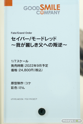 グッドスマイルカンパニー アキバCOギャラリー フィギュア 11