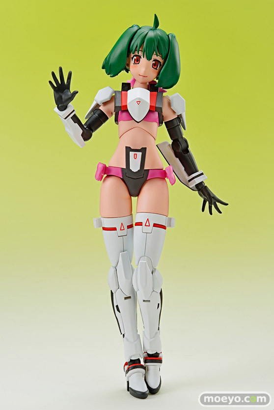 アオシマ ACKS MC-09 V.F.G. マクロスF VF-25F メサイア ランカ・リー プラモデル 17