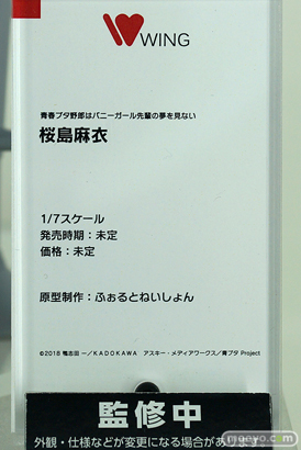 「ワンホビ34」新作フィギュアレポート！「ウイング」「アニプレックスプラス」編20