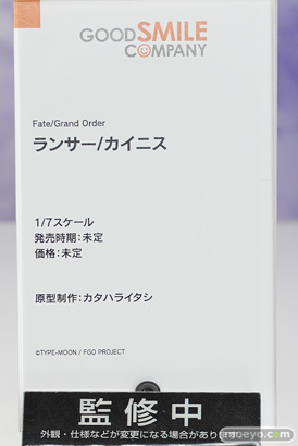グッドスマイルカンパニー Fate/Grand Order ランサー/カイニス カタハライタシ フィギュア ワンホビ34 16