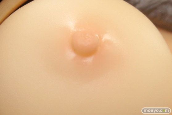 スカイチューブ シベリア寒気団長 illustration by 魔太郎 2% フィギュア エロ キャストオフ 製品版 48