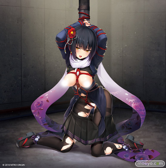 ネイティブ 凍京NECRO＜トウキョウ・ネクロ＞ SUICIDE MISSION 小鳥遊 小夜 フィギュア エロ キャストオフ モワノー 福井淳一 12