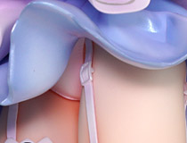 Wonderful Works新作美少女フィギュア「Re：ゼロから始める異世界生活 異世界レム」彩色サンプルが展示！【ワンホビ34】