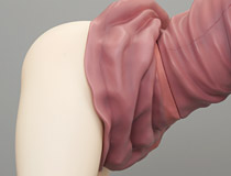 【アダルトフィギュア】渾身のMOLO造形！ダイキ工業「ギターガール　玉置勉強デザイン」新作美少女フィギュア彩色サンプル画像レビュー（後編）