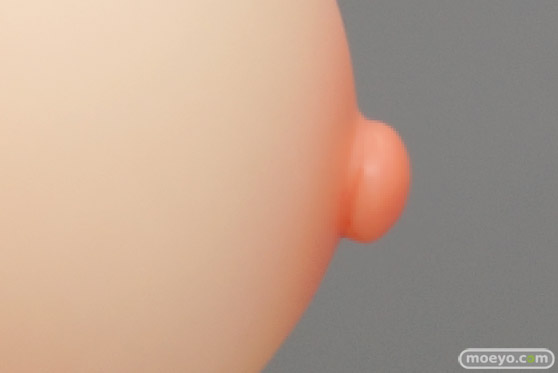 チューベローズプラス(オーキッドシード) ぐちょぐちょさかりちゃん 立川智子 illustrated by メメ50 フィギュア エロ ボウズロケット 50