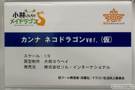 ワンダーフェスティバル2022 [冬]　figurerama セガ ソル・インターナショナル わんだらー 29