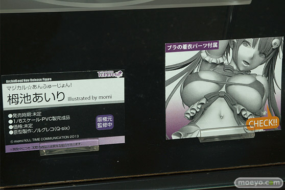 フィギュア　あみあみホビーキャンプ代替展示 プレアデス チューベローズ メルヘンパンチ 14