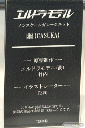 フィギュア　あみあみホビーキャンプ代替展示 エルドラモデル ダイバディ オリエンタルフォレスト  AMAKUNI あみあみ 03