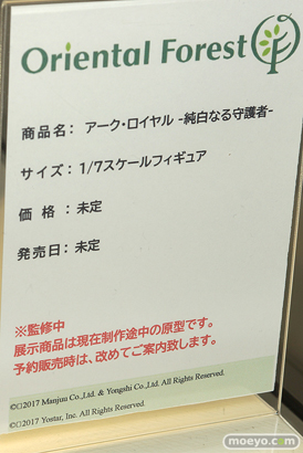 フィギュア　あみあみホビーキャンプ代替展示 エルドラモデル ダイバディ オリエンタルフォレスト  AMAKUNI あみあみ 16