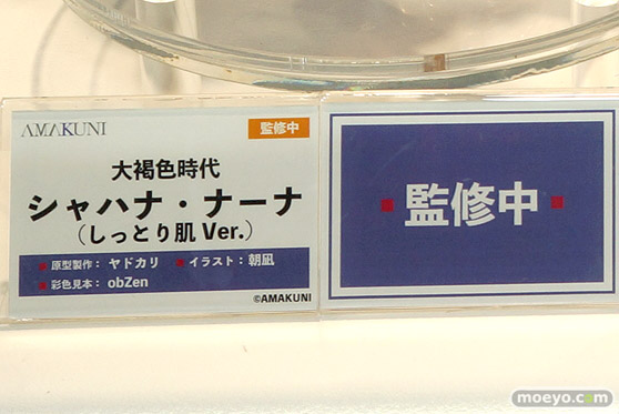 フィギュア　あみあみホビーキャンプ代替展示 エルドラモデル ダイバディ オリエンタルフォレスト  AMAKUNI あみあみ 29