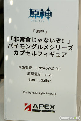 フィギュア　あみあみホビーキャンプ代替展示 AniGift Vibraster ALCAID HASUKI APEXTOYS 蝸之殼スタジオ オーキッドシード ファレノ 12