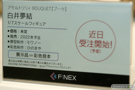 フィギュア　あみあみホビーキャンプ代替展示 プラム プルーヴィー フリュ－  31