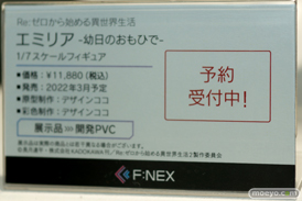 フィギュア　あみあみホビーキャンプ代替展示 プラム プルーヴィー フリュ－  43