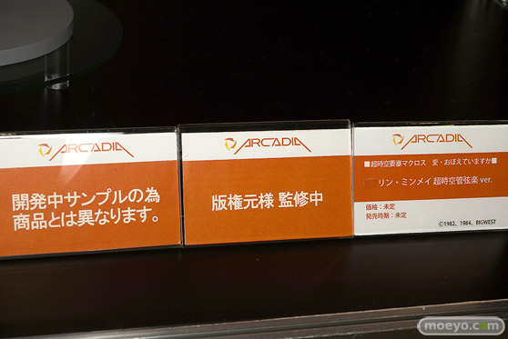 アルカディア 超時空要塞マクロス 愛・おぼえていますか リン・ミンメイ 超時空管弦楽 ver. フィギュア  ワンダーフェスティバル2022 [冬] 11