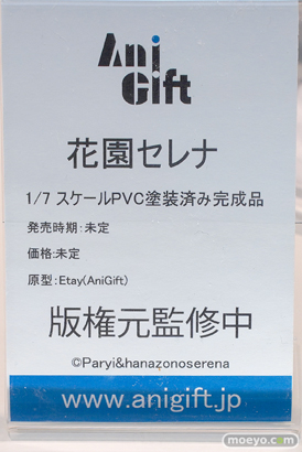 AniGift 花園セレナ フィギュア　あみあみホビーキャンプ代替展示 Etay 16