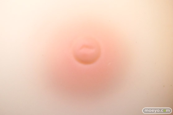 ヴェルテクス ノラと皇女と野良猫ハート２ ルーシア・オブ・エンド・サクラメント ふぉるとねいしょん フィギュア HARUKAZE 製品版 39