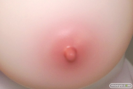 プレアデス HONEY CAGE カティア姫 illustration by 七原冬雪 ろいん 肉まんたまこ 星名詠美 ロケットボーイ エロ フィギュア キャストオフ 55