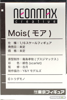 NEONMAXJAPAN Mois 毒島孝牧 Y&Yモデルズ 緋色 古月 トリダモノ フィギュア 東京フィギュア祭り2022春 17