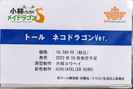 秋葉原の新作フィギュア展示の様子 2022年4月29日 あみあみ 27