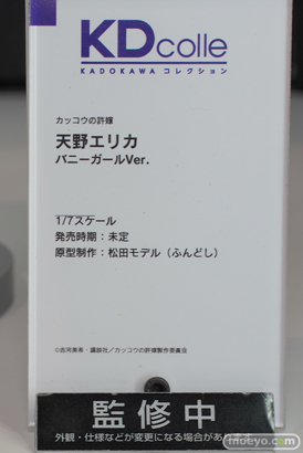 KADOKAWA KDcolle カッコウの許嫁 天野エリカ バニーガ－ルVer. 松田モデル  ワンホビ35 フィギュア 14