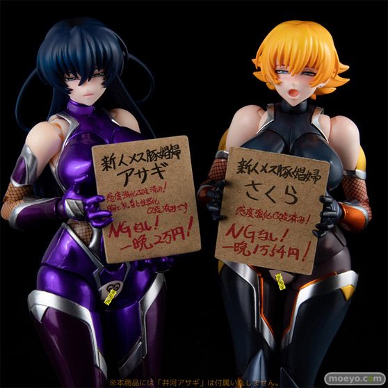 セカンドアックス SECOND AXE式❤HENTAI ACTION 井河さくら 木下 貴雄 カガミ ネイティブ フィギュア エロ キャストオフ 08