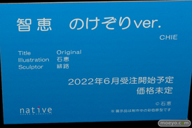フィギュア エロホビ 第3回 ネイティブグループ合同展示会 エロ キャストオフ ネイティブ 04