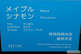 フィギュア エロホビ 第3回 ネイティブグループ合同展示会 エロ キャストオフ ネイティブ 15