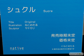 フィギュア エロホビ 第3回 ネイティブグループ合同展示会 エロ キャストオフ ネイティブ 20